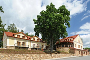 Hotel Gold Chotoviny, Chotoviny